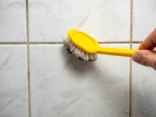 Best Residential Mold Removal  in El Dorado, KS