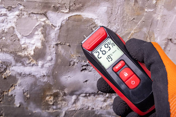 Best Certified Mold Removal  in El Dorado, KS
