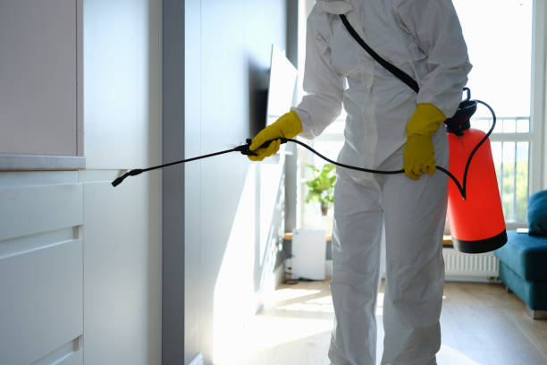 Best Professional Mold Removal  in El Dorado, KS