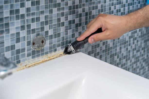 Best Toxic Mold Removal  in El Dorado, KS